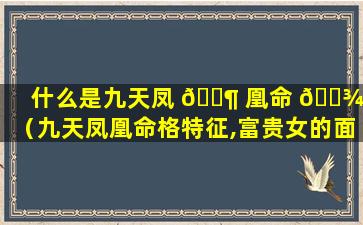 什么是九天凤 🐶 凰命 🌾 格（九天凤凰命格特征,富贵女的面相）